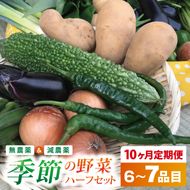 【10ヶ月定期便】身体が喜ぶ季節の野菜ハーフセット(6～7品)｜野菜 やさい 野菜セット セット 詰め合わせ おまかせ 定期便 野菜定期便 茨城県 行方市(BI-43)