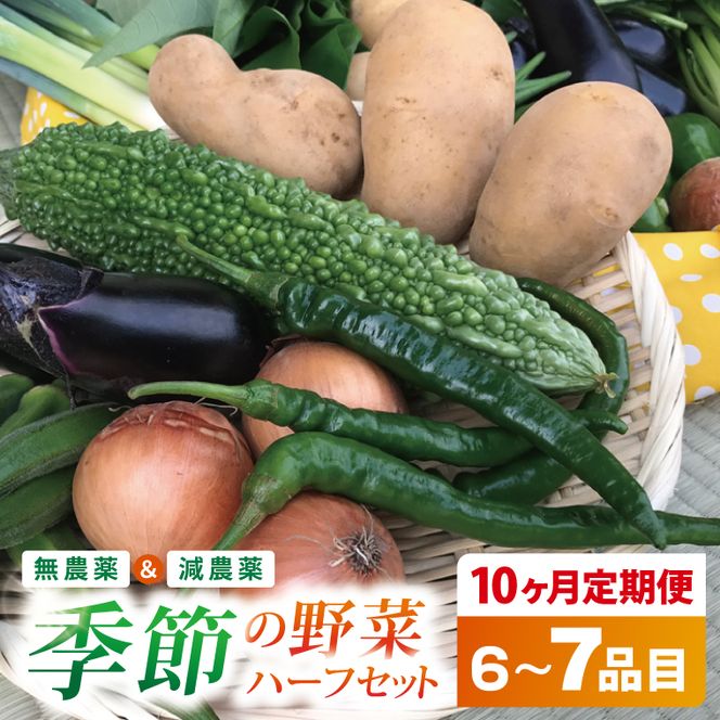 【10ヶ月定期便】身体が喜ぶ季節の野菜ハーフセット(6～7品)｜野菜 やさい 野菜セット セット 詰め合わせ おまかせ 定期便 野菜定期便 茨城県 行方市(BI-43)