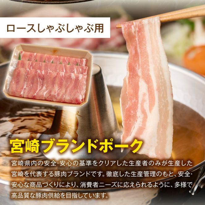 宮崎県産 豚肉 4種盛り合わせ N0217-YA6614