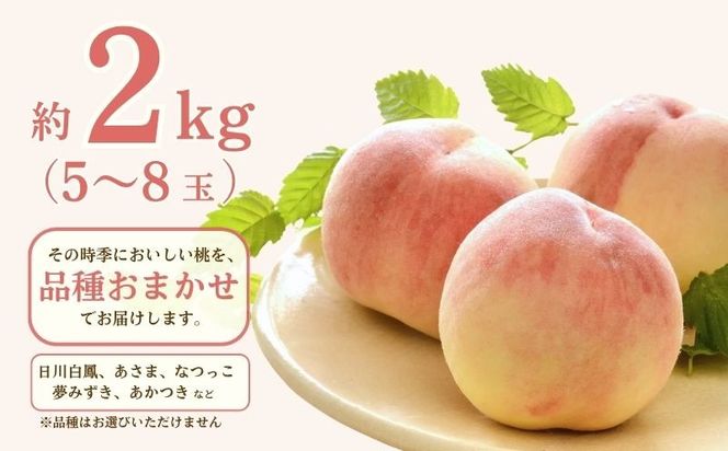 【2027年発送！ 先行予約】日本一の産地山梨県産　朝採れ桃　約２kg(５～８玉） FB001