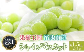 人気 シャインマスカット 約1.5kg 2～4房 ※沖縄県及び離島への配送はできませんので予めご了承ください。※常温配送 126-029-26y