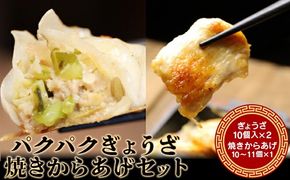 パクパクぎょうざ240gと焼きからあげ300gのセット　計540g【36001】