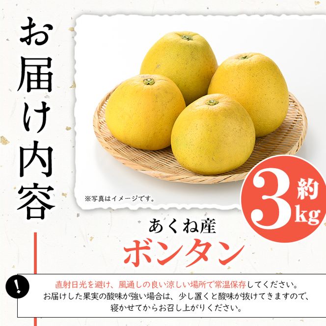 ＜先行予約受付中！2027年1月上旬以降順次発送予定＞竹ん子山のボンタン(約3kg) 国産 鹿児島県産 阿久根産 柑橘 果物 フルーツ ぼんたん 文旦 果実 期間限定 【竹ん子山】akn097-11