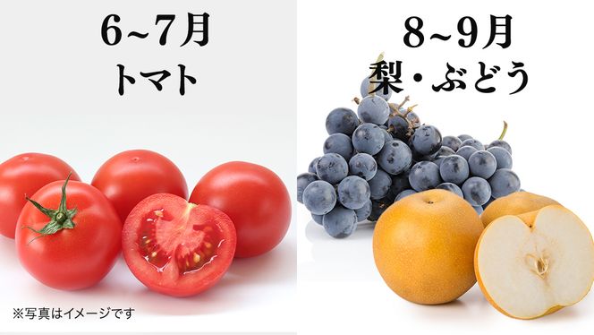 品種おまかせ 旬 の フルーツセット 定期便 3回 ( 茨城県共通返礼品：大子町 ) 詰め合わせ フルーツ 旬 定期 3回 食べ比べ ご褒美 贈り物 ご家庭用 農家直送 産地直送 [FC211us]