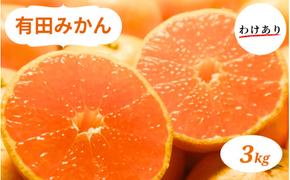 有田みかん 3kg 訳あり 家庭用 ※2024年10月下旬～2025年1月中旬頃に順次発送予定（お届け日指定不可)【smt008】