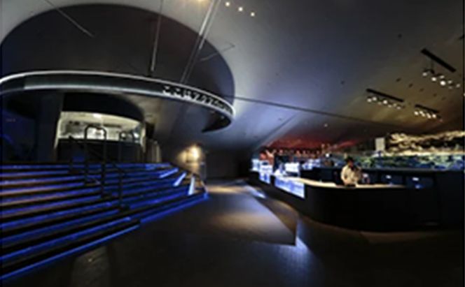 チケット 東京 すみだ水族館 年間パスポート引換券 大人1名 子供2名 入場券 優待券 年パス 旅行 SKYTREE 