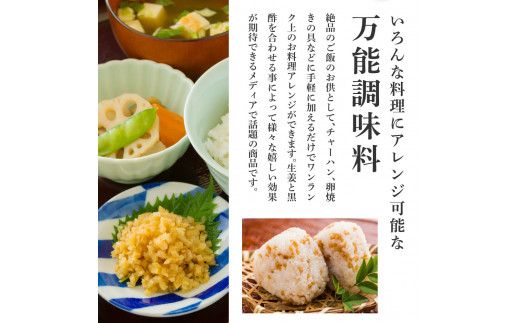 【CF-R7hbk】SNS007　減塩味付け極しょうが110g×10袋 - 減塩 しょうが ショウガ 生姜 生ふりかけ 坂田信夫商店 黄金しょうが 高知 国産 料理 おかず 調味料 ご飯のお供 混ぜご飯 刻み生姜 健康 話題