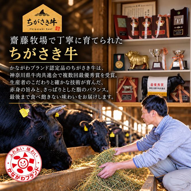 ちがさき牛 サーロイン 約180g×3枚