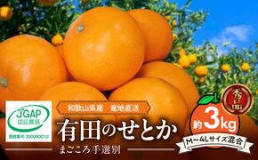 ZE6499_【まごころ手選別】　せとか　約3kg　秀品