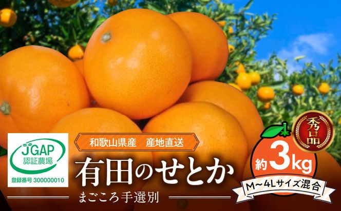 ZE6499_【2027年先行予約】【まごころ手選別】　せとか　約3kg　秀品