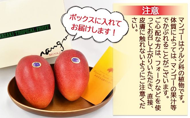 ＜宮崎県産 完熟マンゴー B等級 B4Lサイズ×2玉（合計約1kg）＞2026年4月上旬～6月末迄に順次出荷【 完熟マンゴー 完熟 マンゴー フルーツ 果物 くだもの おいしい 美味しい 甘い あまい ご家庭用 家庭用　ご褒美 】【b0911_ja】
