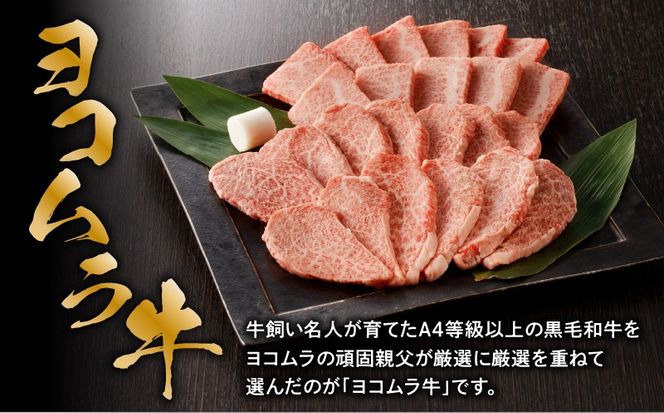 yszy7cƓȓɔzyјaA4`A5zēZbg(Jr/ネ[X)@K189-007