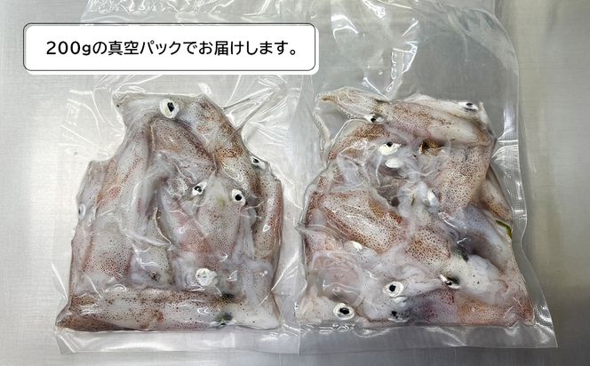 淡路島産ヒイカ 1キロ