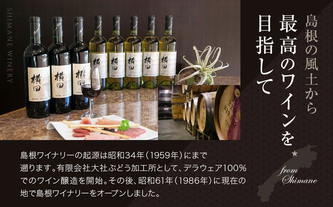 縁結シリーズ白ワイン2本セット 322032_CL008