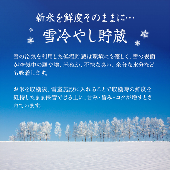 【令和7年産米】特別栽培米 魚沼産こしひかり(十日町地域) 精米 5kg 8月配送 お米 精米 こめ ご飯 白米 特別栽培  旧：五郎兵衛