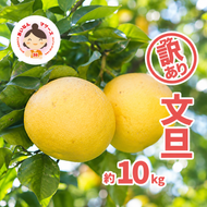 先行予約 2027年2月中旬～発送 訳あり 文旦 10kg （Mサイズ以上 サイズミックス） 10000円 ぶんたん みかん家庭用 産地直送 国産 農家直送 減農薬 糖度 期間限定 数量限定 特産品 果実 果肉 フルーツ 果物 柑橘 先行 事前 予約 受付 サイズ ミックス あいなんマザーズ 愛南町 愛媛県
