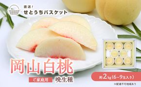 桃 2027年 先行予約 岡山 白桃（晩生種）ご家庭用 約2kg 6～9玉入り もも モモ 岡山県産 国産 フルーツ 果物 直送！せとうちバスケット こだわり 特産品 白い 香り 果汁 シーズン 高糖度