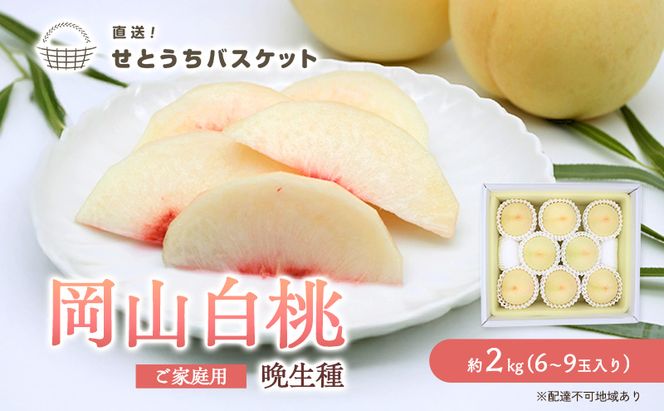 桃 2027年 先行予約 岡山 白桃（晩生種）ご家庭用 約2kg 6～9玉入り もも モモ 岡山県産 国産 フルーツ 果物 直送！せとうちバスケット こだわり 特産品 白い 香り 果汁 シーズン 高糖度