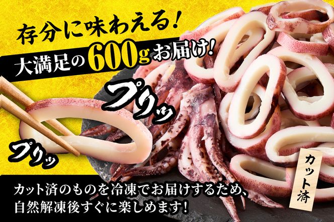 【蒸しイカリング カラシ酢味噌付き 約100g×6P 合計約600g】冷凍 イカリング イカ 烏賊 いか げそ ゲソ 魚介 フライ 揚げ物 パエリア パスタ お手軽 カレー カルパッチョ サラダ 海鮮 ボイル シーフードミックス バーベキュー 焼肉 鉄板焼き BBQ キャンプ ふるさと納税 おすすめ 返礼品 人気 国産 兵庫県 香美町 香住 モリタ食品 9000円 モリタ食品 10-23