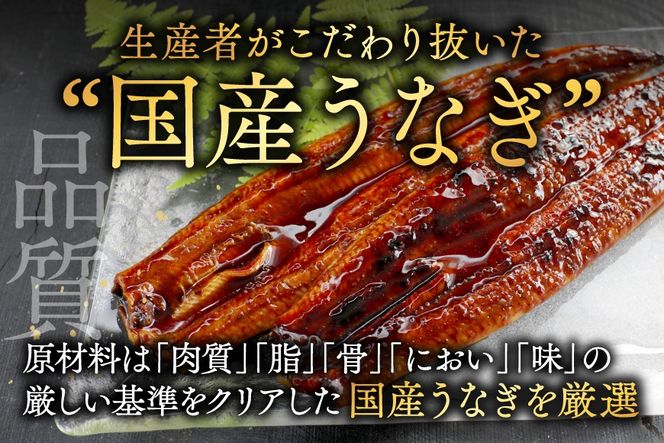 （6月）国産　特上うなぎ(130g×3尾)【OT000OA30_006】