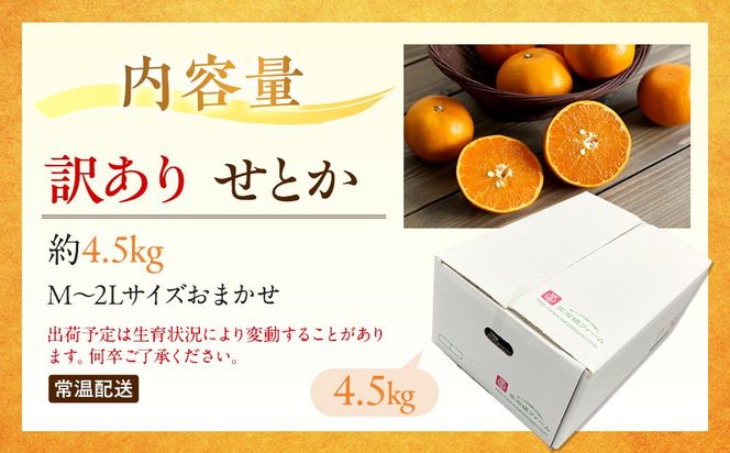 訳あり せとか 4.5kg M～2Lサイズおまかせ 高石垣ファーム  K013