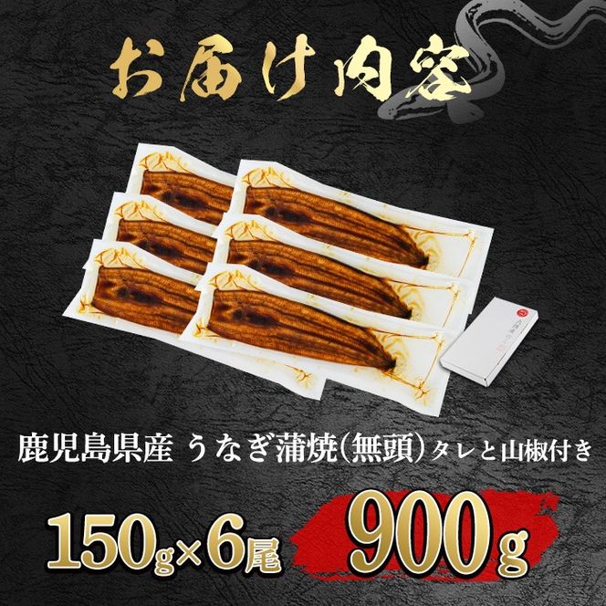 【0364340a-2603】＜3月上旬発送予定＞東串良町のうなぎ蒲焼(無頭)(6尾・計約900g・タレ、山椒付) うなぎ 高級 ウナギ 鰻 国産 蒲焼 蒲焼き たれ 鹿児島 ふるさと 人気 【アクアおおすみ】