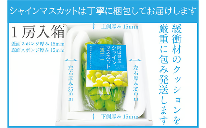ぶどう 2026年 先行予約 シャイン マスカット 晴王 1房 約670g 晴れの国 おかやま 岡山県産 フルーツ王国 果物王国 食後 産地直送 [№5735-1305]