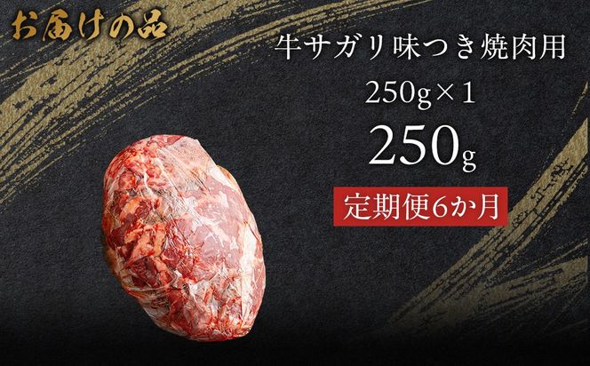 【6か月定期便】牛サガリ味つき焼肉用 250g (250g×1)  MROBM022
