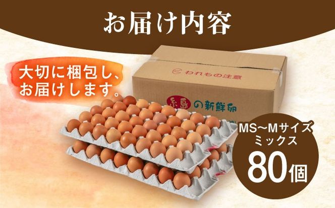 【年内発送】【80個】黄身にコク！白身に甘み！てつやとのりこの玉子 板垣ファーム [AWD003]