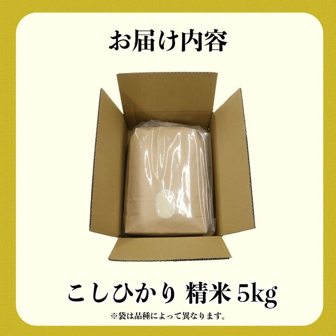 新米 米 こしひかり 5kg 農家直送 特別栽培米 精米 コシヒカリ 令和7年度産 お米 新生活 贈り物 人気米 ご飯 白米 コメ 贈答 静岡県 藤枝市