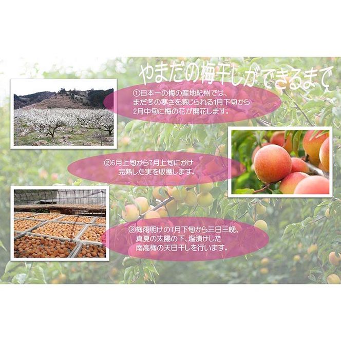 【定期便/2か月ごと/全5回】紀州南高梅プレミアム塩分約3％（850g）