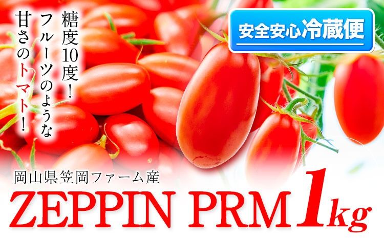 トマト とまと 高糖度トマト ZEPPIN PRM(プレミアム) 1kg [120日以内に出荷予定(土日祝除く)]甘い トマト フルーツトマト ミニトマト 野菜 フルーツ ハウス フルーツ感覚 甘い おいしい---A-183a---