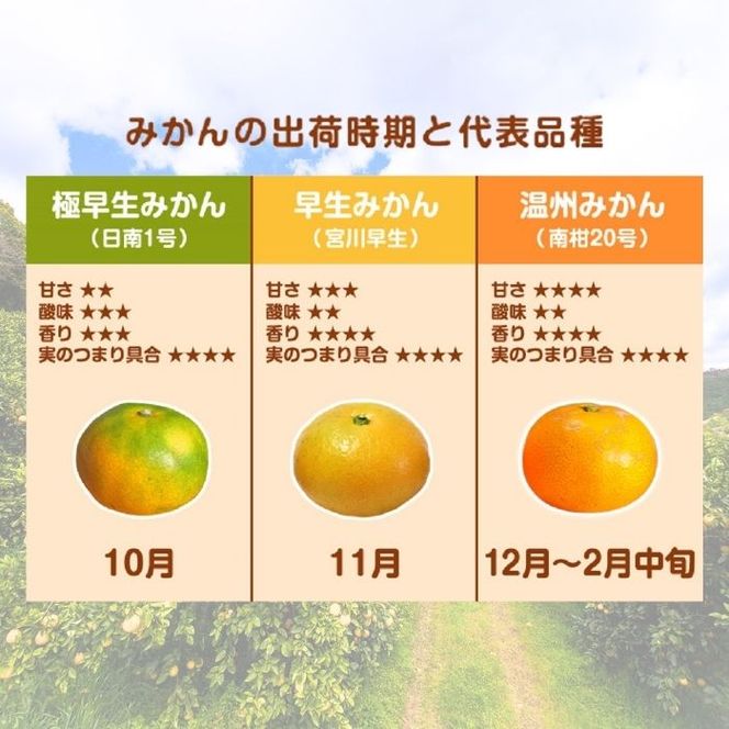 【訳あり】愛媛みかん （ 極早生 ） 5kg【発送時期：９月下旬～】2S-Lサイズ サイズミックス 愛媛みかん 温州みかん 一番みかん 柑橘 みかん 愛媛県 愛南町 清家ばんかんビレッジ