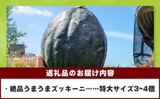 希少！「絶品うまうまズッキーニ」特大サイズ3～4個 贈答用にも！農薬を使わず、特許製法のシリカ水で栽培する特別な野菜【 産地直送 沖縄県 石垣島産 丸ズッキーニ だるまズッキーニ 野菜 】OI-18