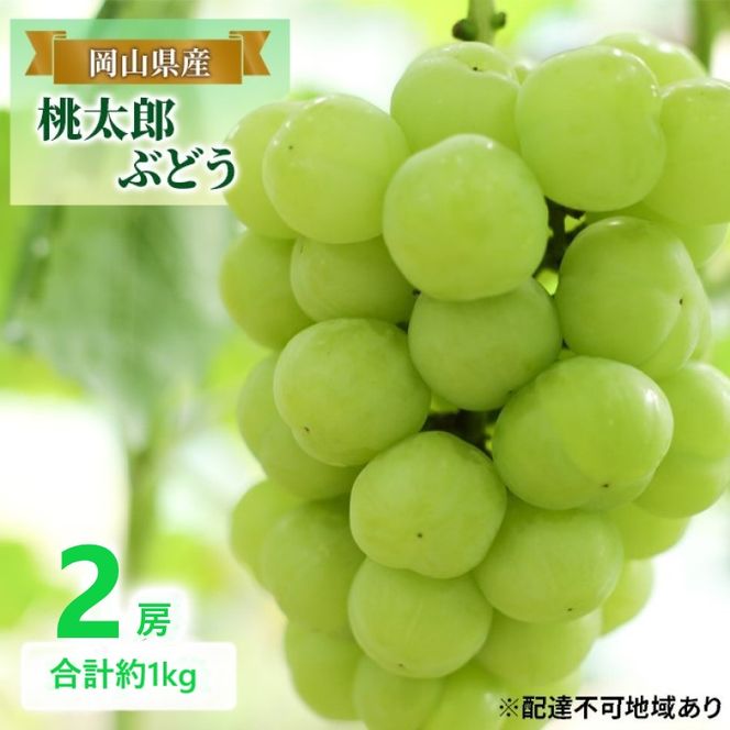 先行予約 晴れの国 岡山のフルーツ 定期便 3回コース 1回目 岡山 白桃6玉 合計約1.2kg／2回目 桃太郎ぶどう２房 合計約1kg／シャインマスカット 2房 合計約1kg