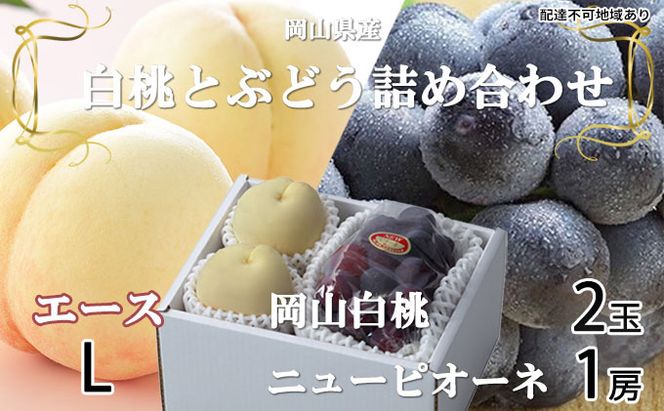 ぶどう 2026年 先行予約 岡山 白桃 エース 2玉×約200g（Lサイズ、早生種・中生種）ニュー ピオーネ 1房約400g  詰め合わせ 岡山県産 フルーツ 
