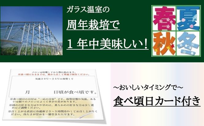 【12ヶ月定期便】クラウンメロン　規格外特大玉（約1.7kg）2玉入 果物類 メロン青肉 