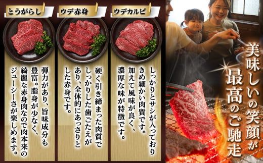 宮崎牛赤身6種 合計約600g_16-2601_(都城市) 牛肉 赤身 希少部位 食べ比べ 焼き肉 焼肉 BBQ ウデミスジ ウデ三角 ウデクリ とうがらし ウデ赤身 ウデカルビ 約100g 計600g 6種類セット