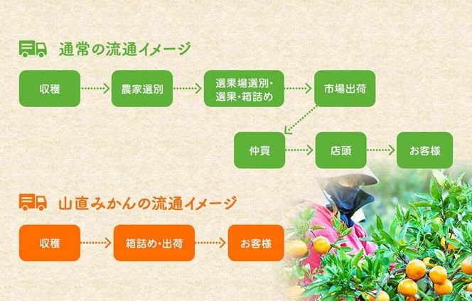 みかん 極早生 山から直送 箱込 5kg (内容量約 4.4kg) 採れたてそのままごろごろ規格 有田みかん 和歌山県産 【みかんの会】［2026年10月上旬頃より順次発送予定］みかん 果物 みかん フルーツ みかん 和歌山 みかん 柑橘類 みかん 和歌山県産 みかん 有田 みかん  AX190