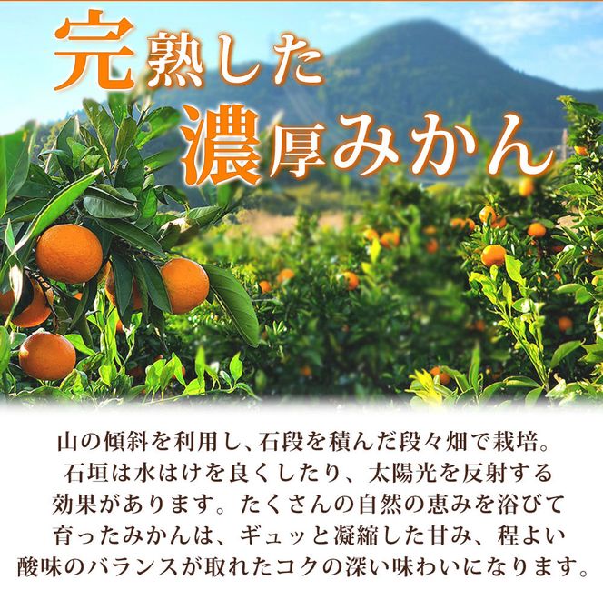 G7047_【2026年11月下旬頃より発送】完熟 有田みかん 10kg