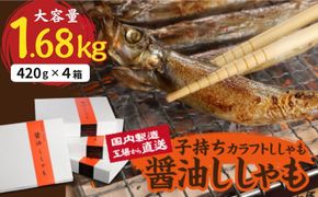 国内加工　醤油ししゃも　4箱セット-[G508]