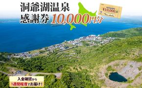 洞爺湖温泉感謝券 10000円 分 金券 クーポン 洞爺湖 湖 温泉 リゾート 有珠山 火山 自然 花火 イルミネーション 旅行 観光 宿泊 施設 宿 アクティビティ 体験 チケット 送料無料 北海道 洞爺湖町