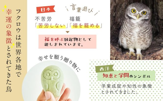 ＜選べる＞フクロウのフロランタン（3羽入 or 8羽入 or 20羽入）　K320-004_SKU