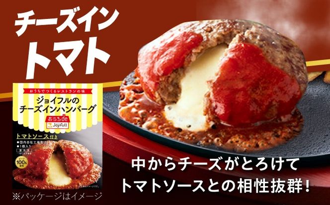【全12回定期便】ジョイフル ハンバーグ スペシャル 詰め合わせ 2種 30個 セット《築上町》【株式会社　ジョイフル】[ABAA080]