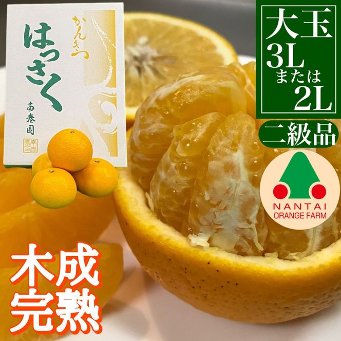 ちょっと 傷あり 4月 まで 木成 完熟 させた 有田 はっさく 大玉 3L × 6玉 または 2L × 7玉 化粧箱 南泰園 みかん 	BS761