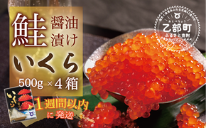 【数量限定】鮮度にこだわった＜笹谷商店 いくら　4パック（500ｇ×4）2ｋｇ＞絶品の醤油タレで漬けたいくら（検索：いくら イクラ 鮭いくら 鮭イクラ 醤油いくら 醤油イクラ いくら丼 いくら醤油漬け イクラ醤油漬け 秋鮭 国産 北海道産 北海道乙部町 日本海 冷凍 人気 訳あり 定額減税 使い道 ふるさと納税）