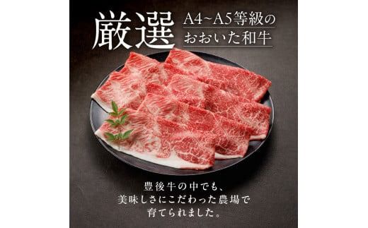 【贈答用】A4～A5等級おおいた和牛ウデ肉スライス400g（1パック ）_2419R