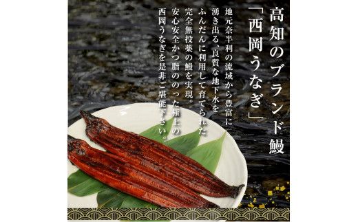 【CF-R7hbk】t118kgp　《3ヵ月定期便》人気惣菜 本気の高知ブランド鰻「西岡うなぎ」～並（並サイズ）～うなぎの蒲焼き2尾セット（約250g）タレ・山椒付き｜ウナギ 国産 特産品 鰻の蒲焼き 高知県産 土佐 グルメ 蒲焼 焼きたて 丼 うな重 ひつまぶし〈田野町共通返礼品〉