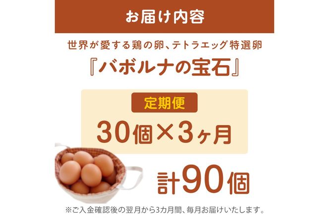 【B9-009】テトラエッグ特選卵『バボルナの宝石』（30個/月）【3カ月定期便】