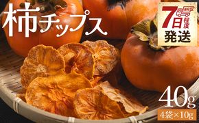 柿 柿チップス 計40ｇ ４袋 10g - お菓子 おやつ スナック菓子 チップ カキ かき フルーツ 果物 ドライフルーツ 調味料不使用 香南くろしお園 高知県 香南市 柿 ke-0022